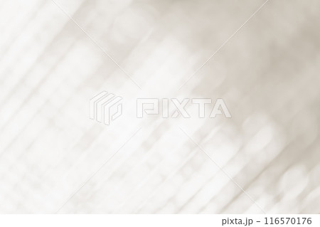 光と影 背景素材 光と影 背景素材 116570176