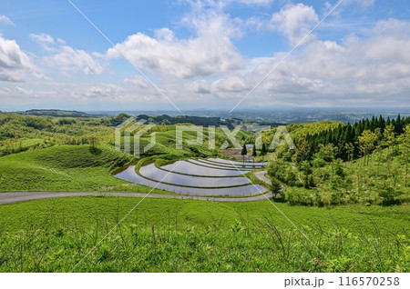 【九州】丘の上で風を感じながら 熊本阿蘇の雄大な広い景色と、扇棚田を望む 116570258