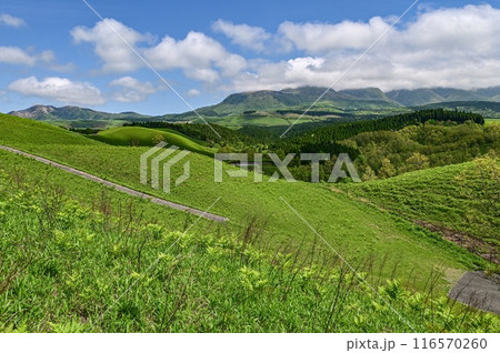 【九州】丘の上で風を感じながら 熊本阿蘇の雄大な広い景色と、扇棚田を望む 【九州】丘の上で風を感じながら 熊本阿蘇の雄大な広い景色と、扇棚田を望む 116570260