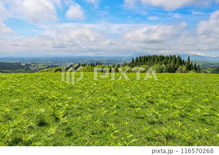 【九州】丘の上で風を感じながら 熊本阿蘇の雄大な広い景色と、扇棚田を望む 【九州】丘の上で風を感じながら 熊本阿蘇の雄大な広い景色と、扇棚田を望む 116570268