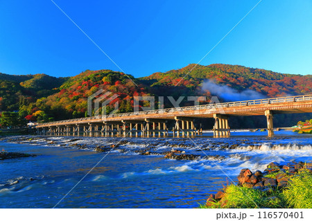 【京都府】快晴の嵐山 渡月橋の紅葉 116570401