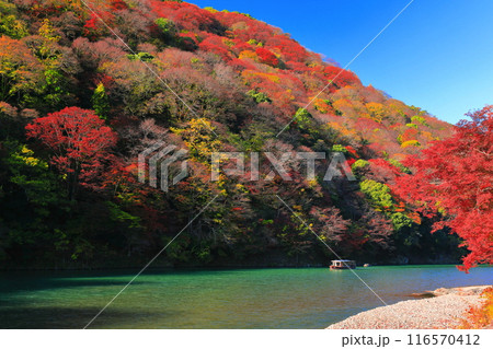 【京都府】晴天の紅葉の嵐山（桂川の嵐峡　保津峡） 116570412