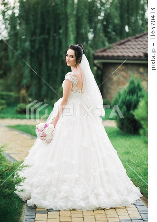 Beautiful luxury bride in elegant white dress 116570413