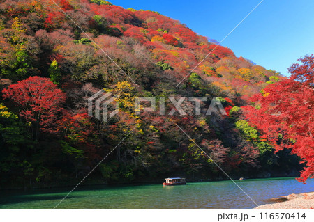【京都府】晴天の紅葉の嵐山（桂川の嵐峡　保津峡） 116570414