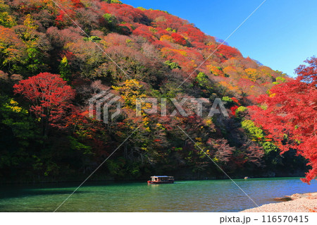 【京都府】晴天の紅葉の嵐山（桂川の嵐峡　保津峡） 116570415