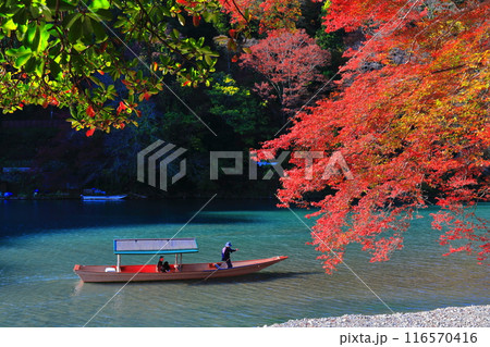 【京都府】晴天の紅葉の嵐山（桂川の嵐峡　保津峡） 116570416