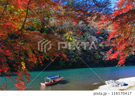 【京都府】晴天の紅葉の嵐山（桂川の嵐峡　保津峡） 116570417