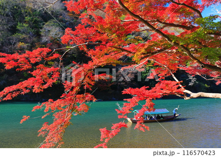 【京都府】晴天の紅葉の嵐山（桂川の嵐峡　保津峡） 116570423