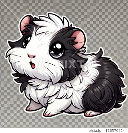 白黒柄のモルモット 116570424