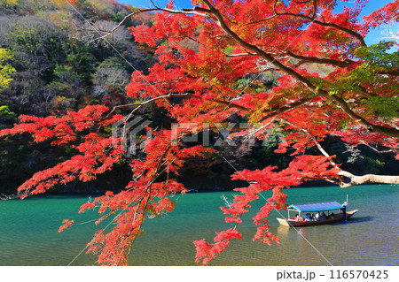 【京都府】晴天の紅葉の嵐山（桂川の嵐峡　保津峡） 116570425