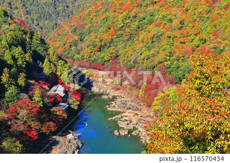 【京都府】晴天の紅葉の保津川下り（嵐山　桂川　嵐峡） 116570434