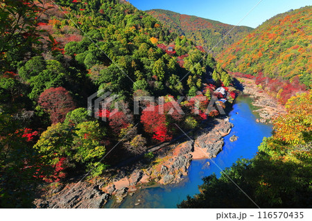 【京都府】晴天の紅葉の保津川下り（嵐山　桂川　嵐峡） 116570435