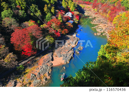 【京都府】晴天の紅葉の保津川下り（嵐山　桂川　嵐峡） 116570436