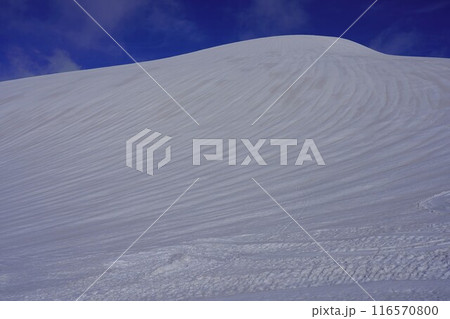 冬季月山の姥ヶ岳の風紋 冬季月山の姥ヶ岳の風紋 116570800
