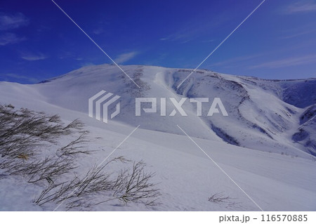 月山ペアリフト上駅からの冬季月山 116570885