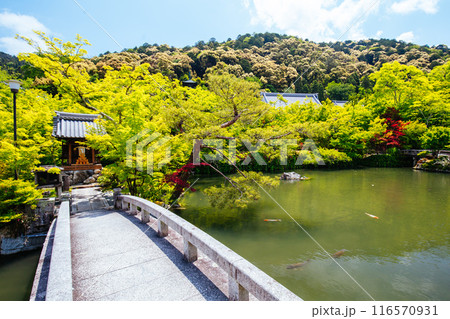 Eikando Temple (Eikan-do) in Kyoto Japan Eikando Temple (Eikan-do) in Kyoto Japan 116570931