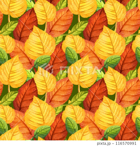 watercolor seamless pattern of autumn forest leaves, hand drawn illustration of yellow and orange forest leaves, green and brown different leaves, sketch on green background watercolor seamless pattern of autumn forest leaves, hand drawn illustration of yellow and orange forest leaves, green and brown different leaves, sketch on green background 116570991