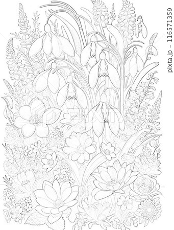 塗り絵上級者用。影を少し残した中級者用もあります。カラーリング見本もどうぞ参考になさってください。 塗り絵上級者用。影を少し残した中級者用もあります。カラーリング見本もどうぞ参考になさってください。 116571359