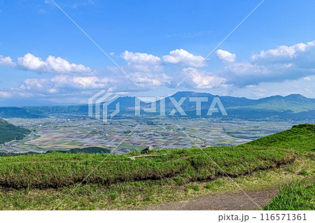 【九州】最標高の大観峰からカルデラ、阿蘇五岳を望む景色や、阿蘇の街を見下ろす景色は雄大で素晴らしい。 116571361