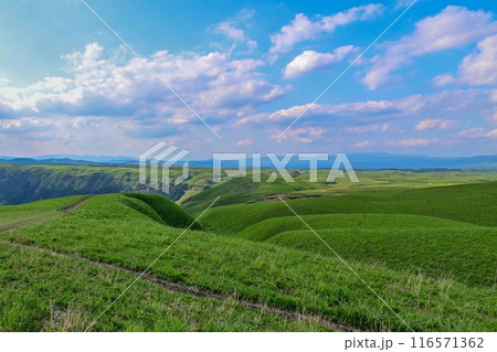 【九州】最標高の大観峰からカルデラ、阿蘇五岳を望む景色や、阿蘇の街を見下ろす景色は雄大で素晴らしい。 【九州】最標高の大観峰からカルデラ、阿蘇五岳を望む景色や、阿蘇の街を見下ろす景色は雄大で素晴らしい。 116571362