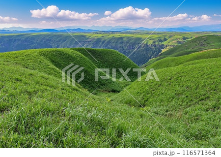 【九州】最標高の大観峰からカルデラ、阿蘇五岳を望む景色や、阿蘇の街を見下ろす景色は雄大で素晴らしい。 116571364