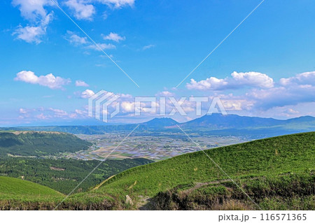 【九州】最標高の大観峰からカルデラ、阿蘇五岳を望む景色や、阿蘇の街を見下ろす景色は雄大で素晴らしい。 116571365