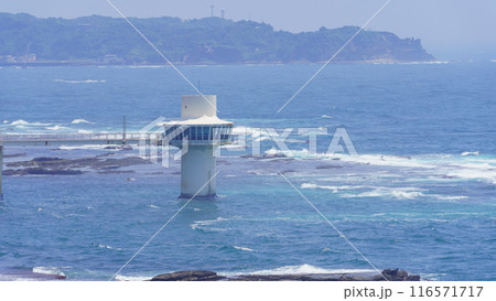【千葉県勝浦市】かつうら海中公園・海中展望塔 116571717