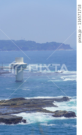 【千葉県勝浦市】かつうら海中公園・海中展望塔 【千葉県勝浦市】かつうら海中公園・海中展望塔 116571718