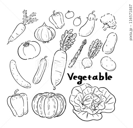 モノクロの手描きの野菜セット 116571887