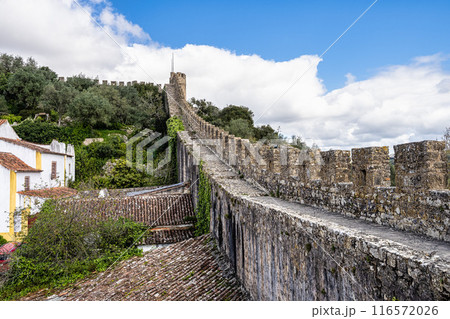 The Castle of Obidos, Castelo de Obidos is a well preserved medieval palace in the town of Obidos in Portugal 116572026