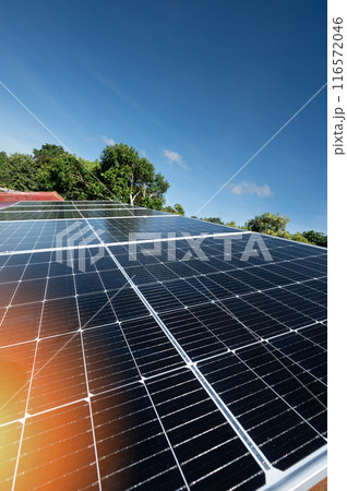 House solar energy theme House solar energy theme 116572046