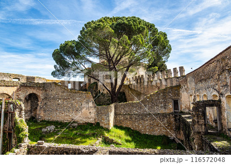 The Monastery of the Order of Christ, Convento de Cristo at the city of Tomar. Santarem District. Portugal. 116572048