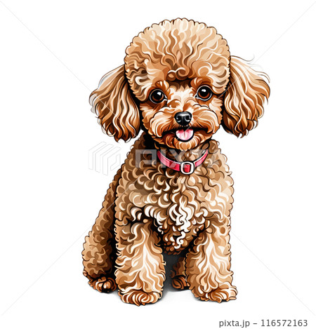 犬 犬 116572163