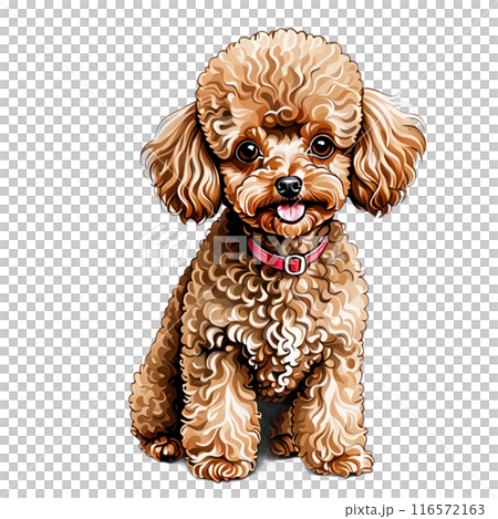 犬 犬 116572163