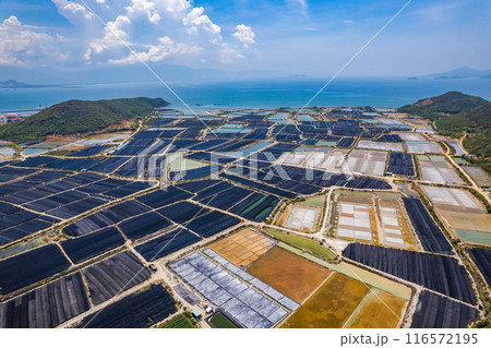 Aerial view of Hon Khoi Salt Fields, in Khanh Hoa, Vietnam Aerial view of Hon Khoi Salt Fields, in Khanh Hoa, Vietnam 116572195