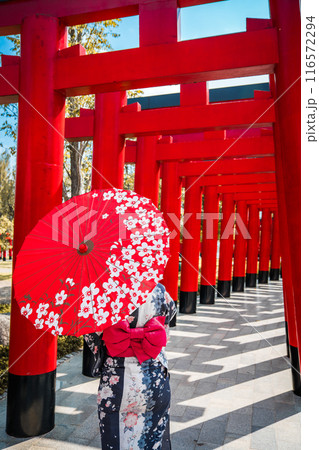 Asian girl in kimono and umbrella in Japanese theme park Hinoki Land in Chai Prakan District, Chiang Asian girl in kimono and umbrella in Japanese theme park Hinoki Land in Chai Prakan District, Chiang 116572294