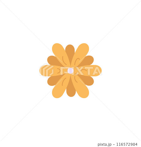 Vector illustration of an orange flower for use in medicine and organic design Vector illustration of an orange flower for use in medicine and organic design 116572984