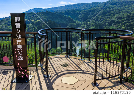 観音ヶ池市民の森　展望デッキ 116573159