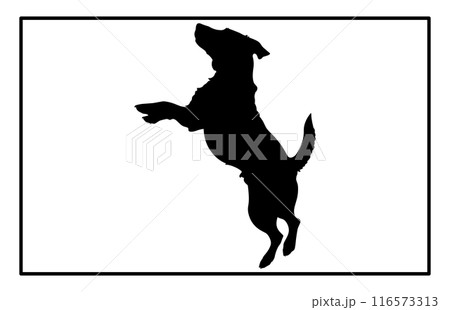 Jumping Dog Silhouette - Canine Action Illustration and Clipart 116573313