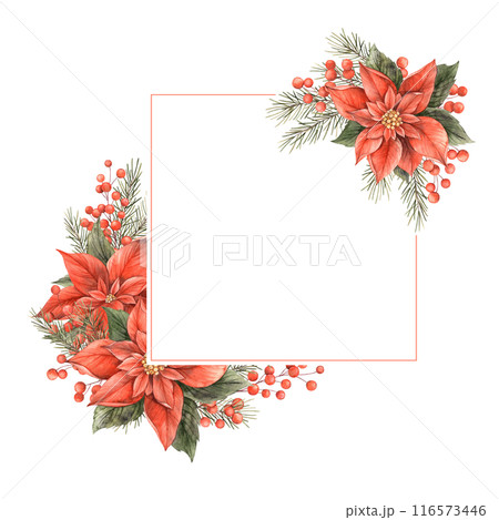 Poinsettia, Christmas red flower, fir branches and red berries. Watercolor botanical square elegant frame on isolated background. Drawing for Christmas and New Year holidays, invitations, cards Poinsettia, Christmas red flower, fir branches and red berries. Watercolor botanical square elegant frame on isolated background. Drawing for Christmas and New Year holidays, invitations, cards 116573446