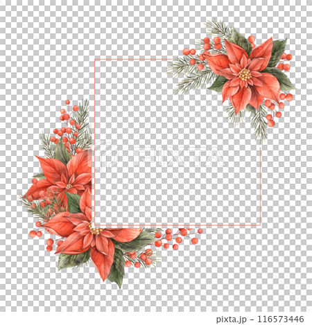 Poinsettia, Christmas red flower, fir branches and red berries. Watercolor botanical square elegant frame on isolated background. Drawing for Christmas and New Year holidays, invitations, cards Poinsettia, Christmas red flower, fir branches and red berries. Watercolor botanical square elegant frame on isolated background. Drawing for Christmas and New Year holidays, invitations, cards 116573446