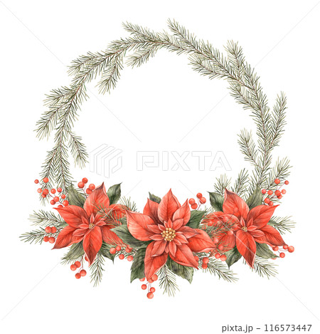 Poinsettia, Christmas red flower, fir branches, red berries and tree green branches. Watercolor botanical holiday round wreath. Wreath for Christmas, New Year holidays, invitations, cards, packaging 116573447