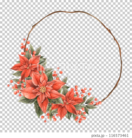 Red poinsettia, green leaves, dry branches, red berries. Watercolor botanical wreath in Christmas style, painted by hand. Drawing for Christmas and New Year holidays, invitations, cards, banners Red poinsettia, green leaves, dry branches, red berries. Watercolor botanical wreath in Christmas style, painted by hand. Drawing for Christmas and New Year holidays, invitations, cards, banners 116573461