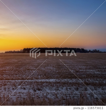 Winter frosty sunrise 116573811