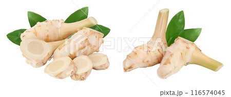 Fresh galangal root with slices isolated on white background with full depth of field. 116574045