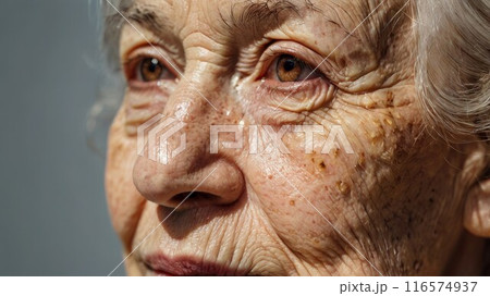 A close-up portrait of the aged woman. 116574937