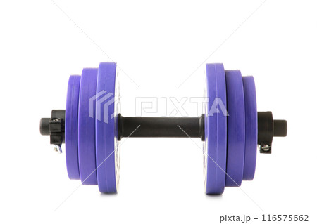 Violet gym dumbbell isolated on white background. Top view. Violet gym dumbbell isolated on white background. Top view. 116575662
