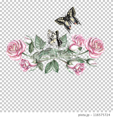 Bouquet of roses and butterflies in watercolor illustration. Hand drawn watercolor for cards, posters, cosmetics, celebration decoration. The composition is isolated from the background. 116575724