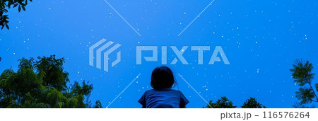 Child gazing up starry night sky wonder nature stars trees back view 116576264