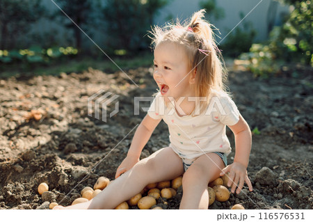 Happy child girl smiling and sitting on potatoes in the garden 116576531